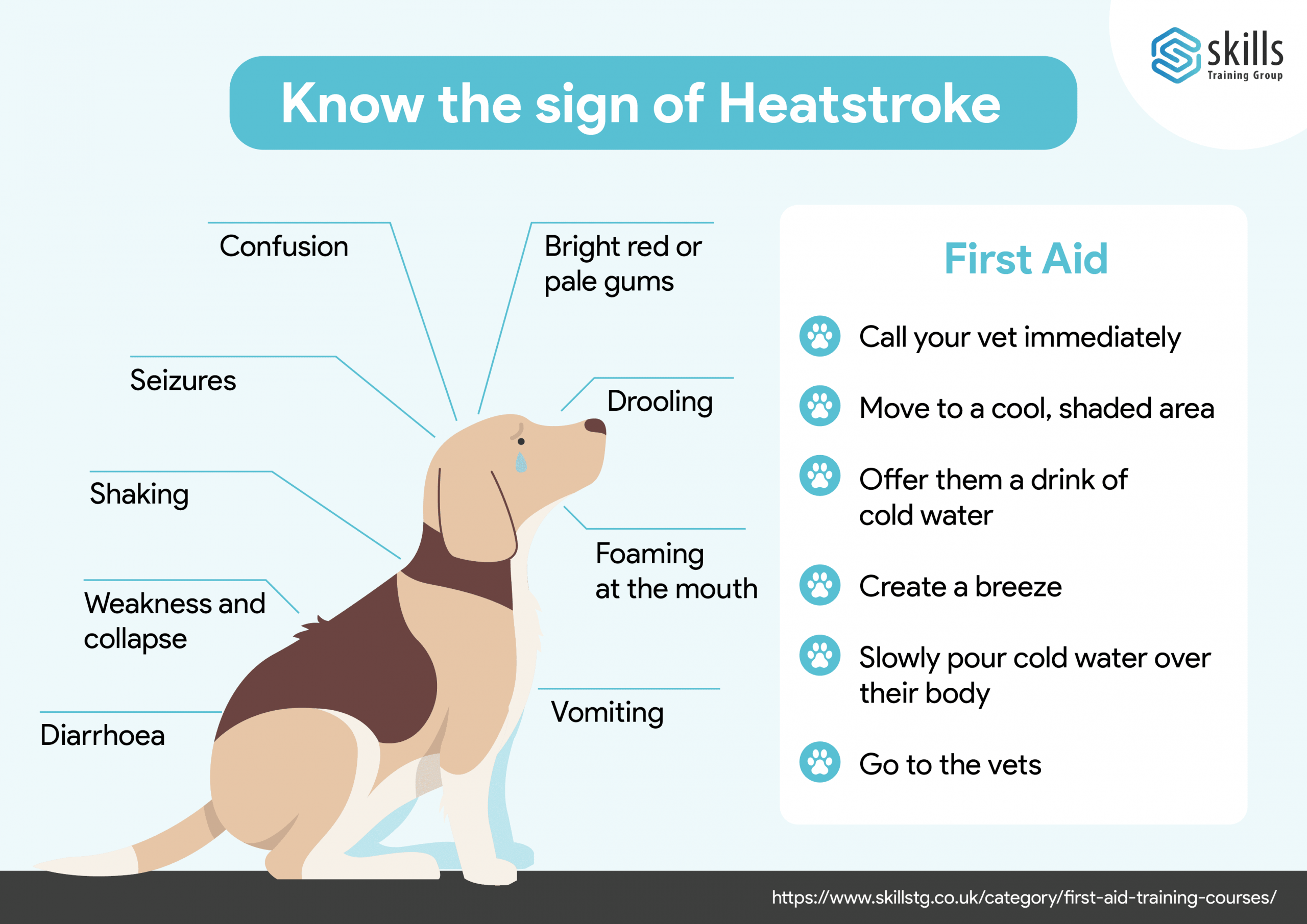 Dog Heatstroke Symptoms Emergency First Aid Tips