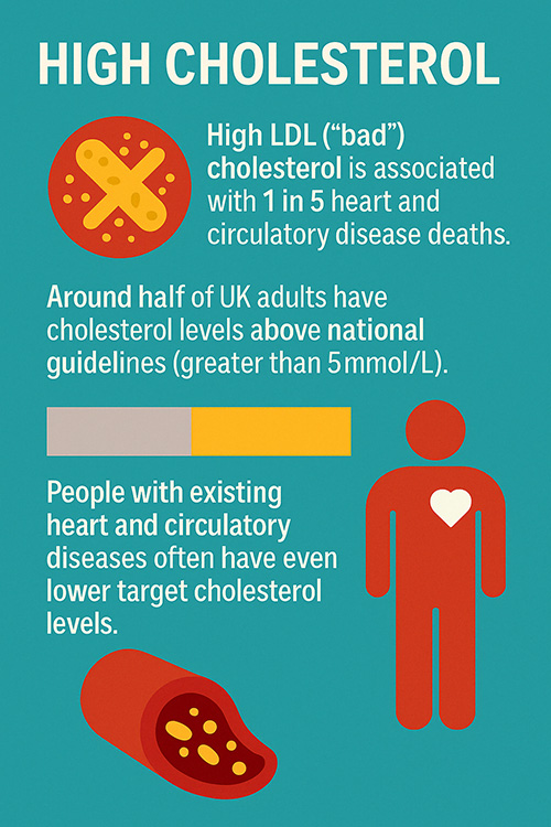 High Cholesterol Statistics