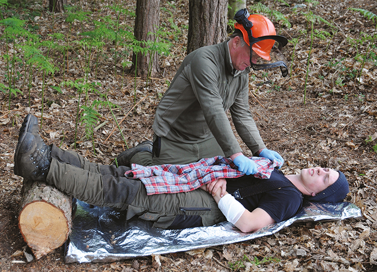 Emergency First Aid at Work + Forestry (EFAW+F) Course in Glasgow - Featured Image